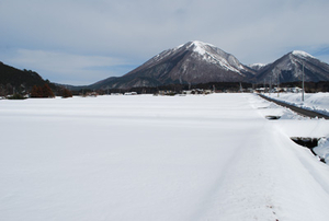 冬の田んぼ