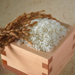 浮布米（特別栽培米）